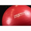 Купить Гимнастический мяч Yousteel Hard 55см в Октябрьске 